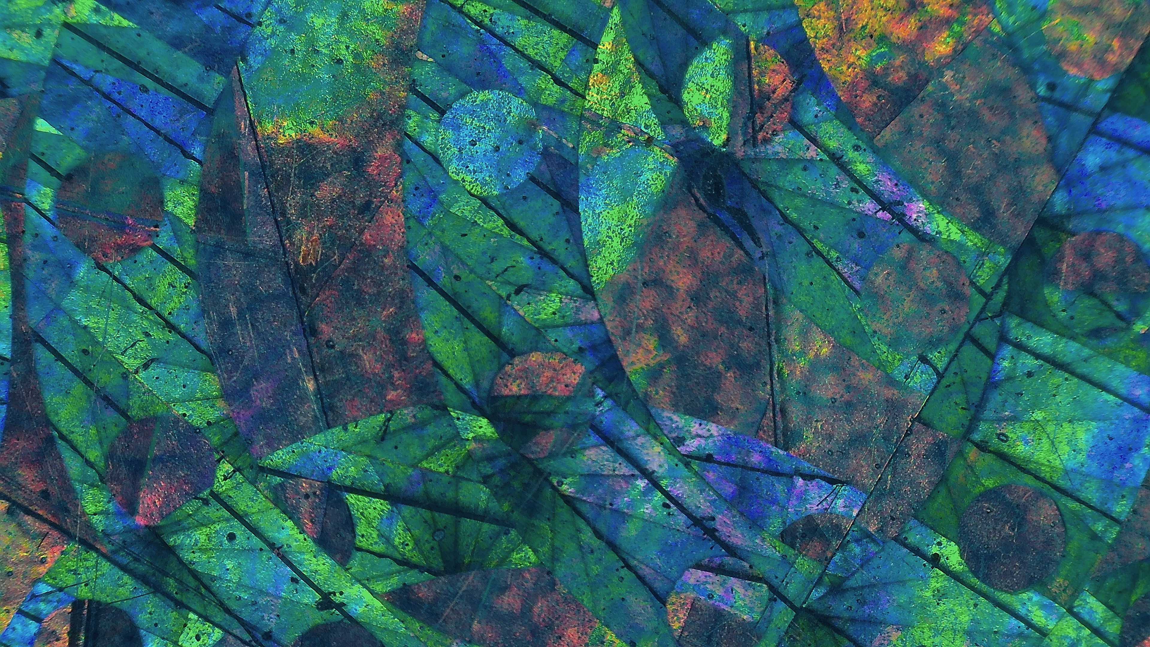 P00022.jpg