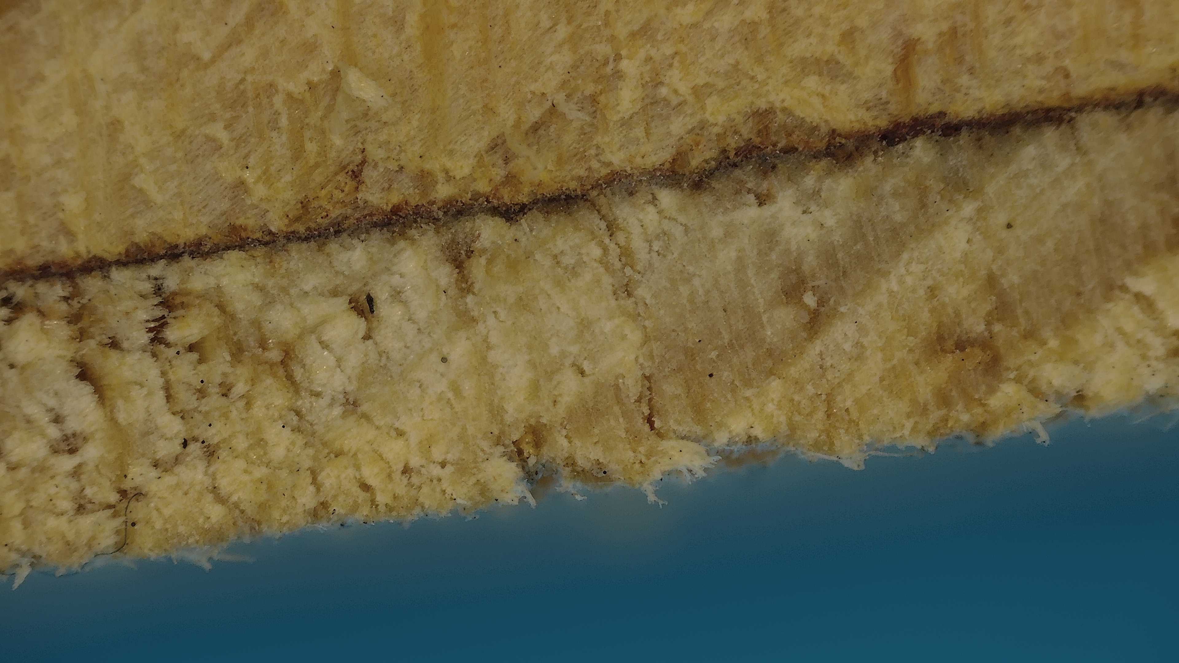 P00054.jpg