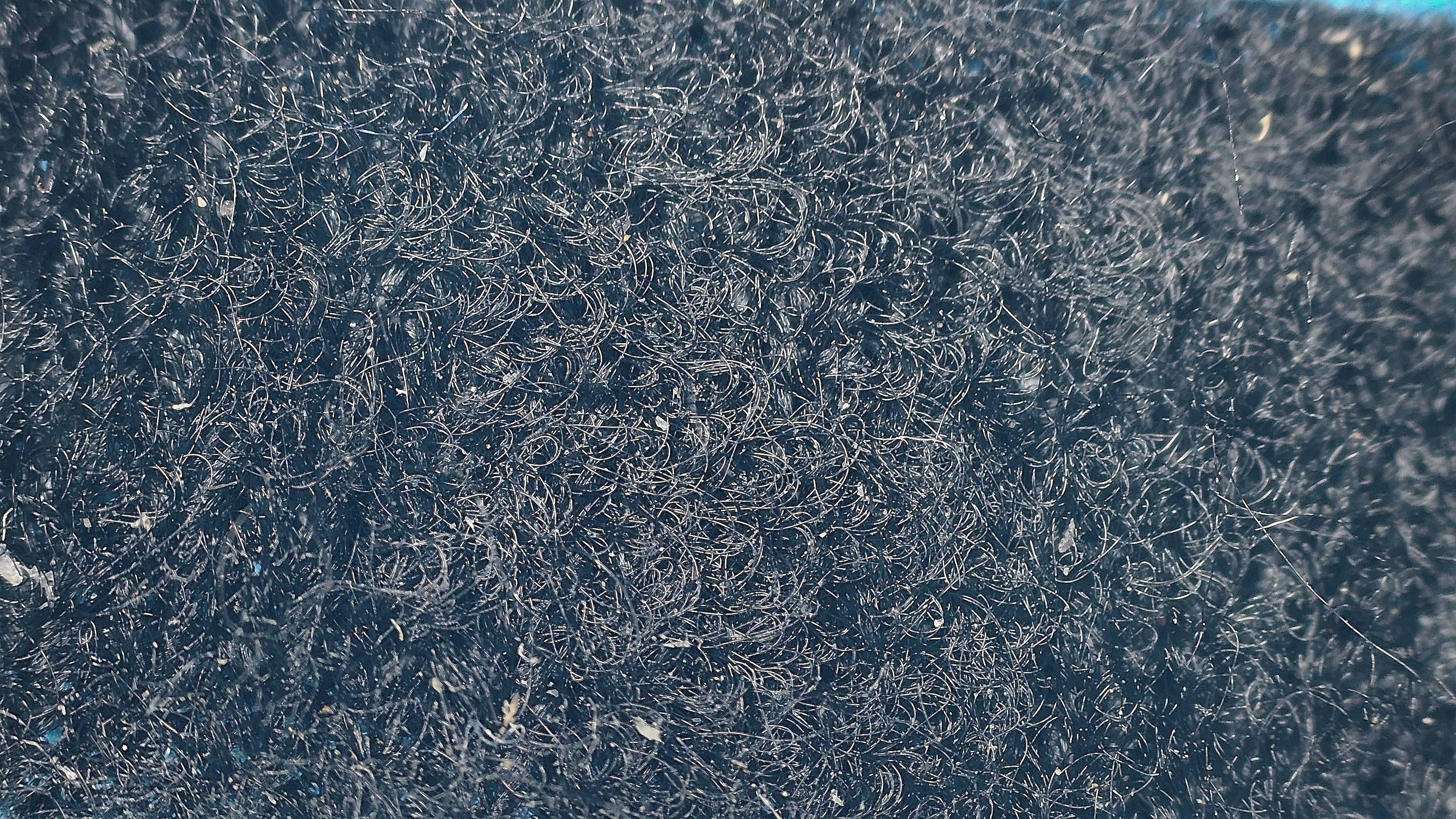 P00056.jpg