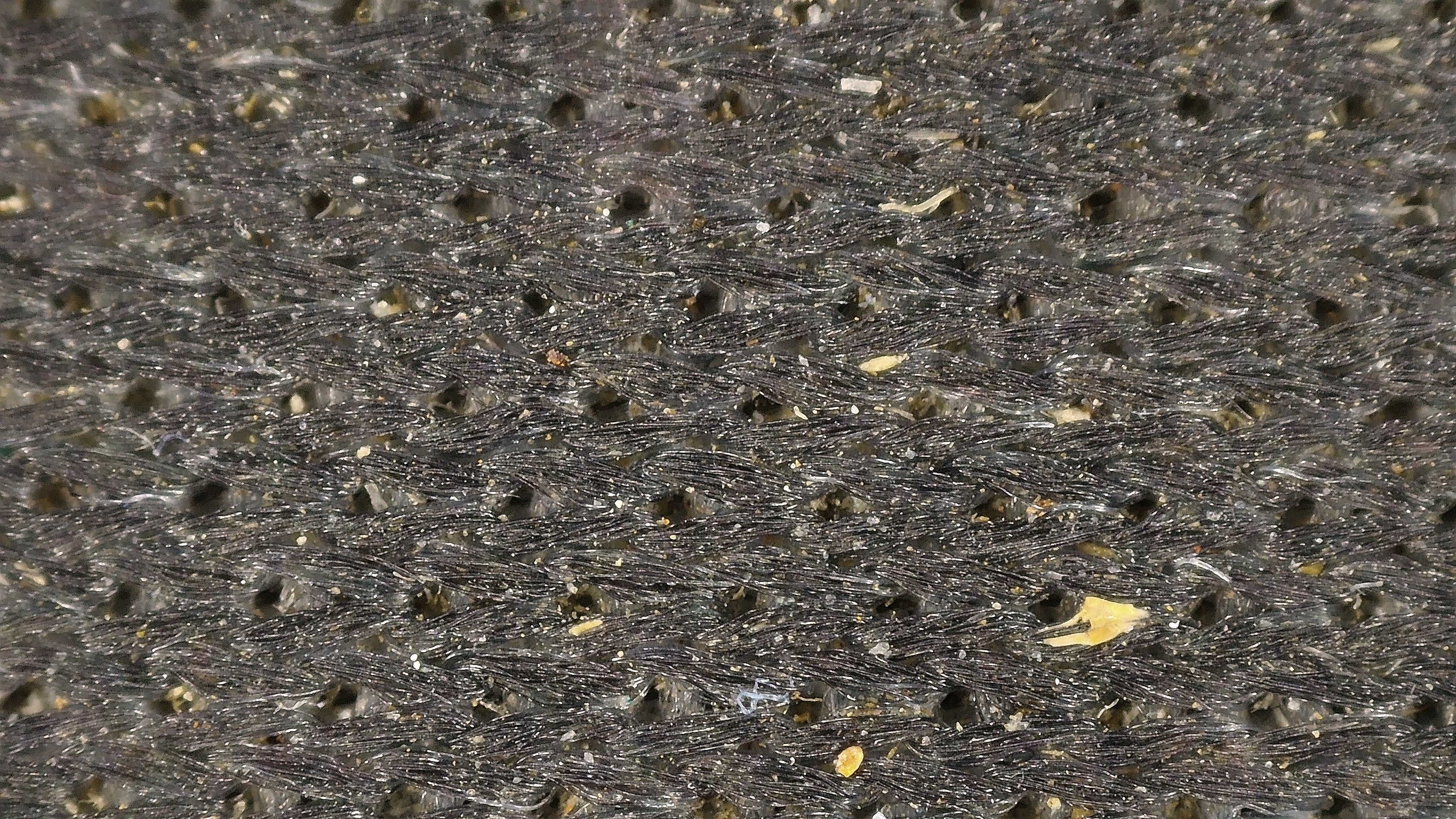 P00065.jpg
