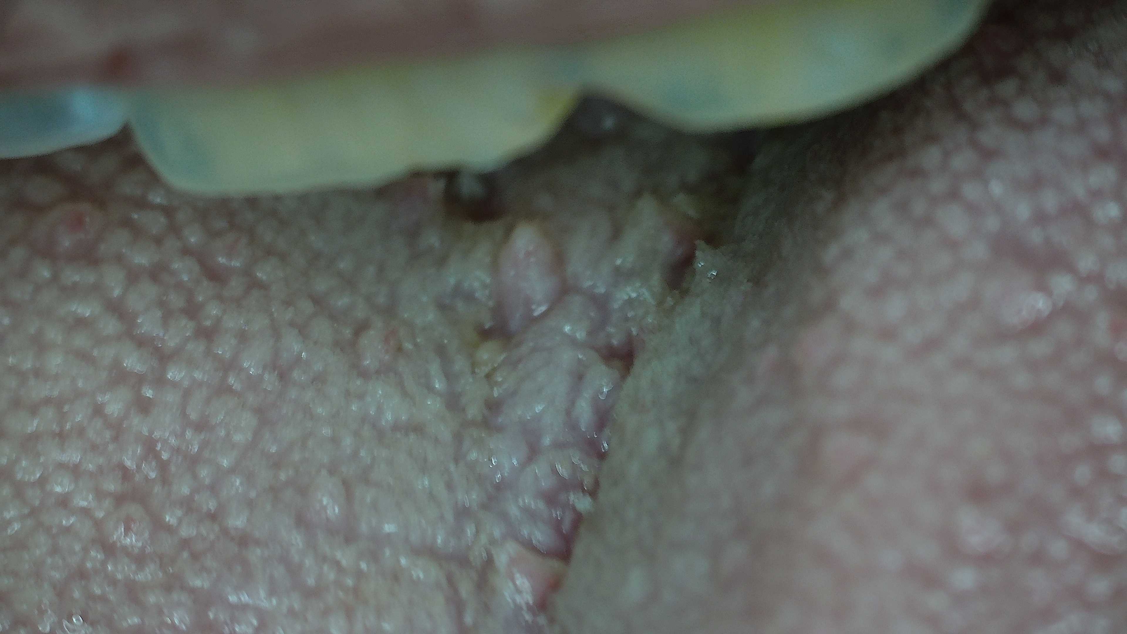 P00083.jpg